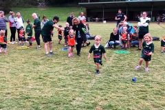 Merewether Carlton Greenies Grommets