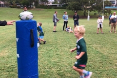 Merewether Carlton Greenies Grommets