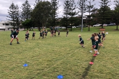 Merewether Carlton Greenies Grommets