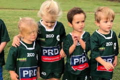 Merewether Carlton Greenies Grommets