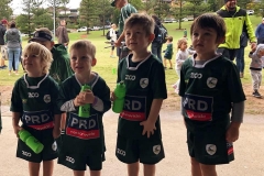 Merewether Carlton Greenies Grommets