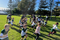 Greenies Grommets 2022