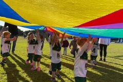 Greenies Grommets 2022