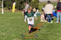 Greenies Grommets 2022