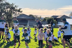 Greenies Grommets 2022