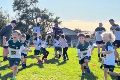 Greenies Grommets 2022