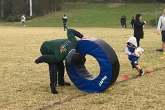 greenies_grommets_action