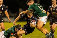 greens-v-maitland-gf